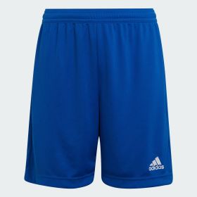 Adidas Performance Short Entrada 22 Junior