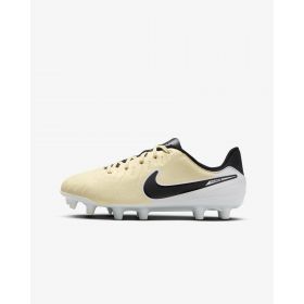 Nike Legend 10 Academy Fg/mg Jr